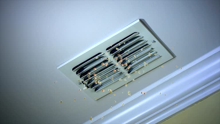Best Best Air Duct Cleaning Company  in Fort Hall, ID